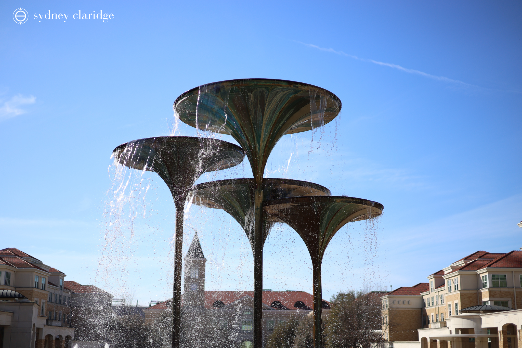 An image of Frog Fountain on the TCU campus.